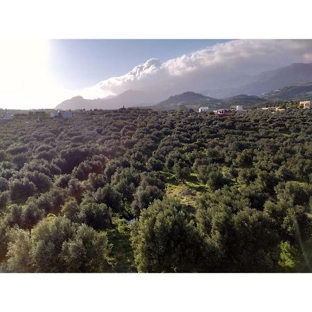 Natural Green Apartment Damnoni Exterior foto